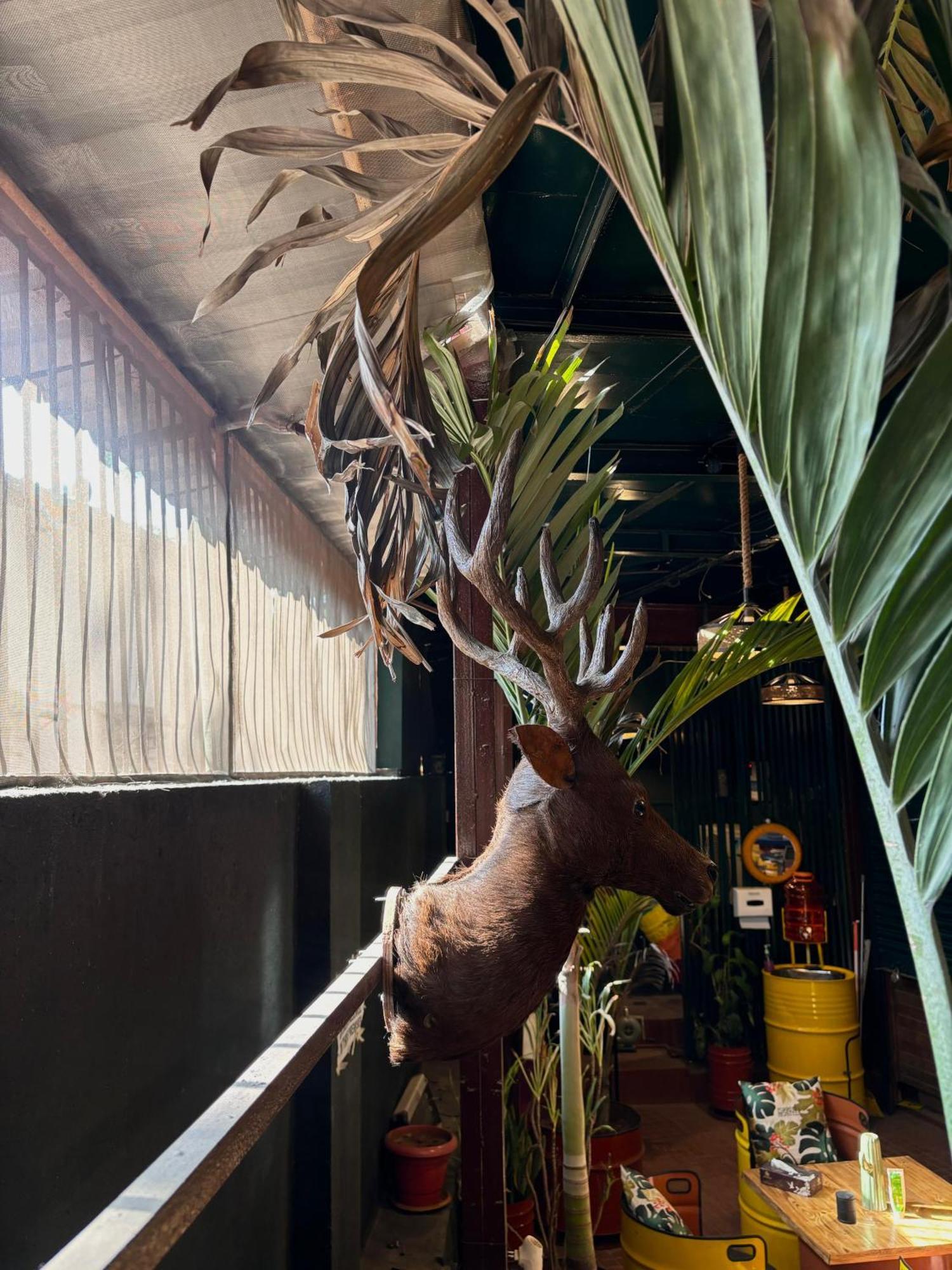 Forrest Hostels มุมไบ ภายนอก รูปภาพ